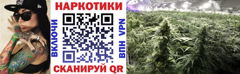 Названия наркотиков Заречный Героин  Alpha PVP  Бошки Шишки  Меф мяу мяу  гидра ONION  КОКАИН 