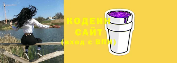 ГАЛЛЮЦИНОГЕННЫЕ ГРИБЫ Горно-Алтайск